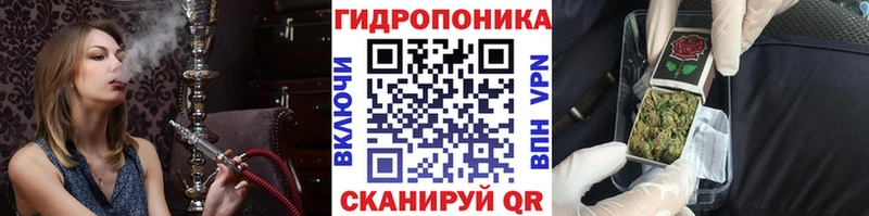Шишки марихуана конопля  Купить закладки  Ивантеевка 